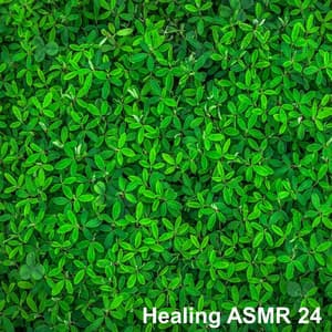 Healing ASMR 24 - Healing White Noise for Relaxation, Sleep, Mental and Physical Stability - Healing ASMR