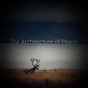 The Architecture of Peace - Minds United