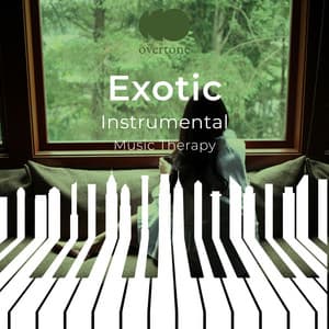 zZz Exotic Instrumental Music Therapy zZz - Soothing Piano Classics for Sleeping Babies