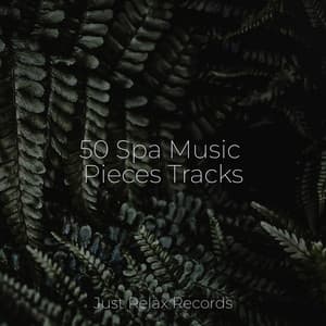 50 Spa Music Pieces Tracks - Lucid Dreaming World-Collective Unconscious Mind