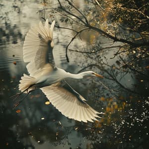 Spa Relajante Con Lluvia: Pájaros Binaurales Y El Toque De La Naturaleza - 92 96 Hz - Julia Spaberts