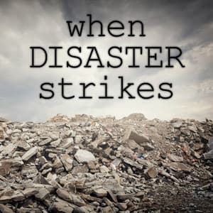 When Disaster Strikes - Gregor F. Narholz