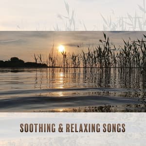 Meditation Music for Deep Sleep, Soothing & Relaxing Songs with Sound of Nature - Deep Relaxation Exercises Academy