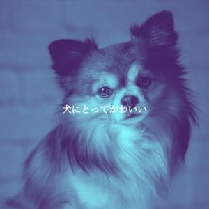 犬にとってかわいい - Chill Music for Reading