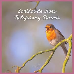 Sonidos de Aves: Relajarse y Dormir - Sonidos De Aves