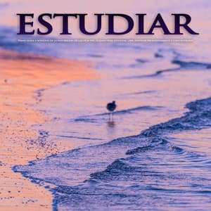 Estudiar: Piano suave y sonidos de la naturaleza de las olas del océano para estudiar, leer, enfocar profundamente y concentrarse - Musica Para Leer