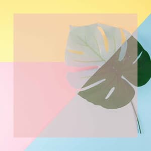 Relaxed Music for Bright Stars - Latin Music - Light Jazz Playlist