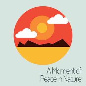 A Moment of Peace in Nature - Weather Sounds