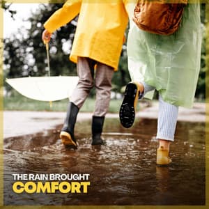 The Rain Brought Comfort - Relaxing Rain Sounds
