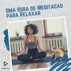 1 Hora de Meditação para Relaxar - #Meditação