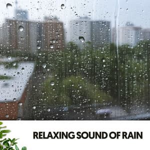 Relaxing Sound of Rain: Melodies from the Sky - Música Relajante Para Leer