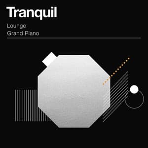 zZz Tranquil Lounge Grand Piano Notes zZz - Pet Music World