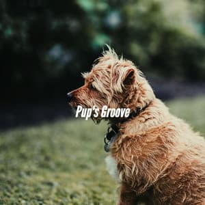 Pup's Groove - Calm Dog Music