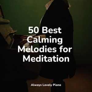 Relaxation Compilation - 50 Tracks of Peaceful and Powerful Meditation - Piano Soul