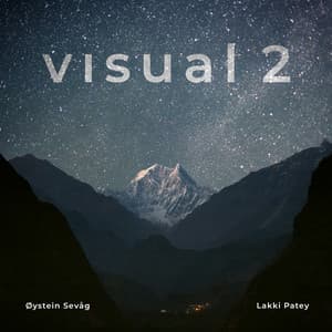 Visual 2 - Øystein Sevåg