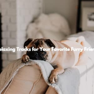 Relaxing Tracks for Your Favorite Furry Friend - Night Club Jazz Deluxe