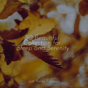 50 Beautiful Collection for Sleep and Serenity - Bird Sounds