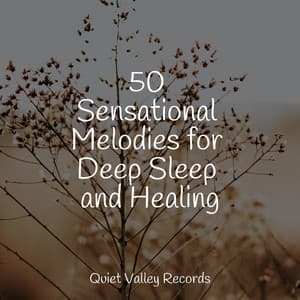50 Sensational Melodies for Deep Sleep and Healing - Calm Shores