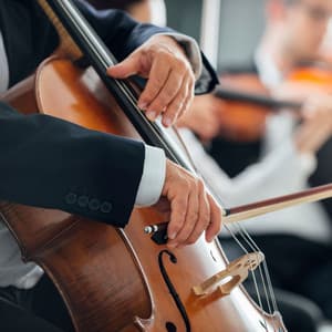 Orchestra of Calm: Symphony for Meditation - Charles Anderson