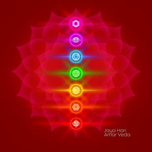 The Sacred Pulse of Seven Chakras - Jaya Hari
