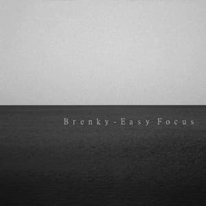 Easy Focus - Brenky