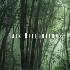 Rain Reflections: Forest Rain for Serene Sleep - Calm Rain Sounds