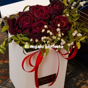 El regalo perfecto - Ruhige Morgenmusik Klassiker