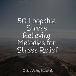 50 Loopable Stress Relieving Melodies for Stress Relief - White Noise Sleep Sounds