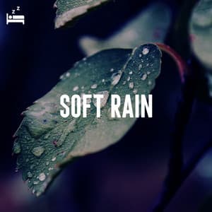 Soft Rain - Rain Sounds Lab