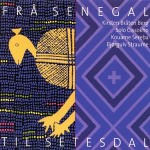 Frå Senegal Til Setesdal - Kirsten Bråten Berg