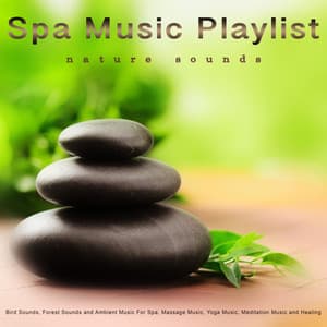 Spa Music Playlist: Bird Sounds, Forest Sounds, Nature Sounds and Ambient Music For Spa, Massage Music, Yoga Music, Meditation Music, Healing, Wellness, Mindfulness and Relaxation Music - Massage Therapy