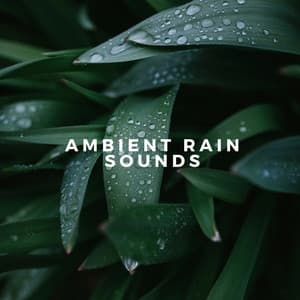 Ambient Rain Sounds - Rain WRLD