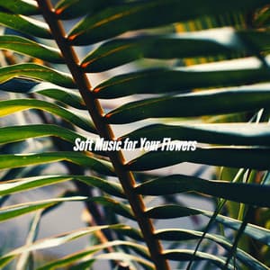 Soft Music for Your Flowers - Relaxing Instrumental Jazz