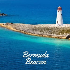 Bermuda Beacon - Masala Roo