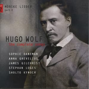 Wolf: The Complete Songs, Vol. 2 - Hugo Wolf