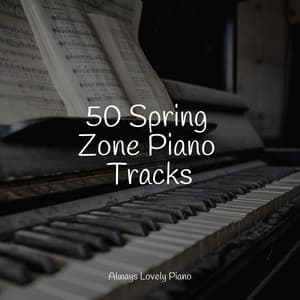 50 Beautiful Tracks for Chilling Out - Piano Shades