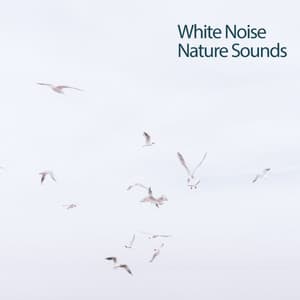 White Noise Nature Sounds - White Noise Spa