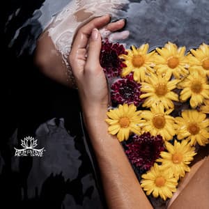 Pranotherapy - Meditation Music Zone