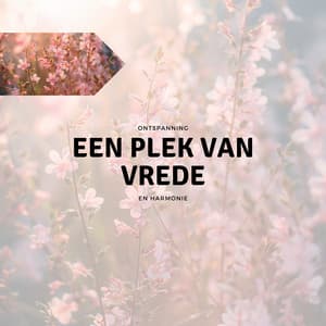 Een Plek van Vrede - Ontspanning en Harmonie