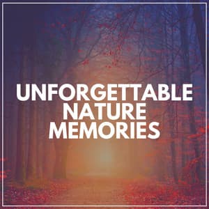 Unforgettable Nature Memories - Nature's Noise