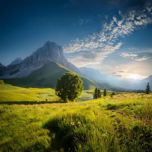 Acordes Suaves: Se Despliegan Composiciones Delicadas - Música para Desayuno De Lujo