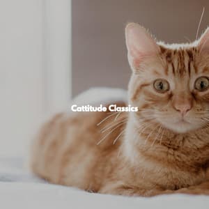 Cattitude Classics - Musik am Sonntagmorgen