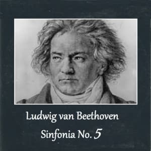 Ludwig van Beethoven - Sinfonia No. 5 - Ludwig van Beethoven