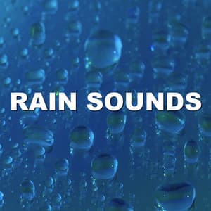 Rain Sounds - Wind and Rain Sounds