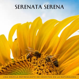 Serenata Serena: Una Mezcla Refrescante De Insectos En La Naturaleza - Creadora