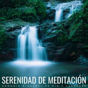 Serenidad De Meditación: Armonía Binaural De Río Y Cascadas - Flujo de agua definitivo