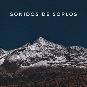 Sonidos De Soplos - Sonidos de la Naturaleza Ruido