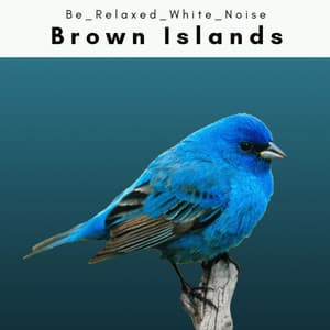 2 0 2 2 Brown Islands - Be Relaxed White Noise