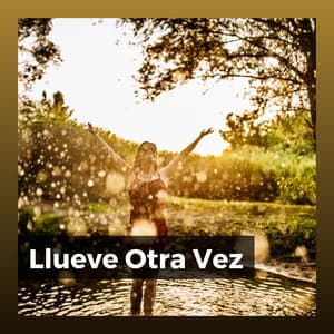 Llueve Otra Vez - Sonidos De Lluvia