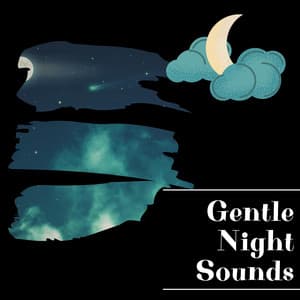 Gentle Night Sounds for Sleep and Relaxation - Night Sounds Channel